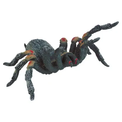 15131 dimensiones terrario tarantula