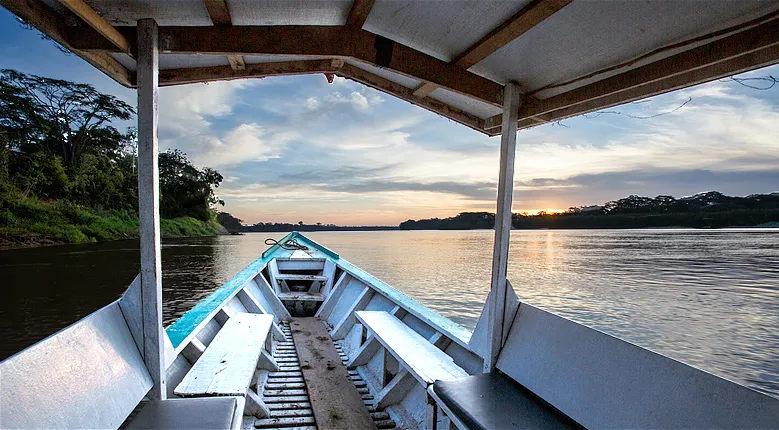 15137 tarantula habitat