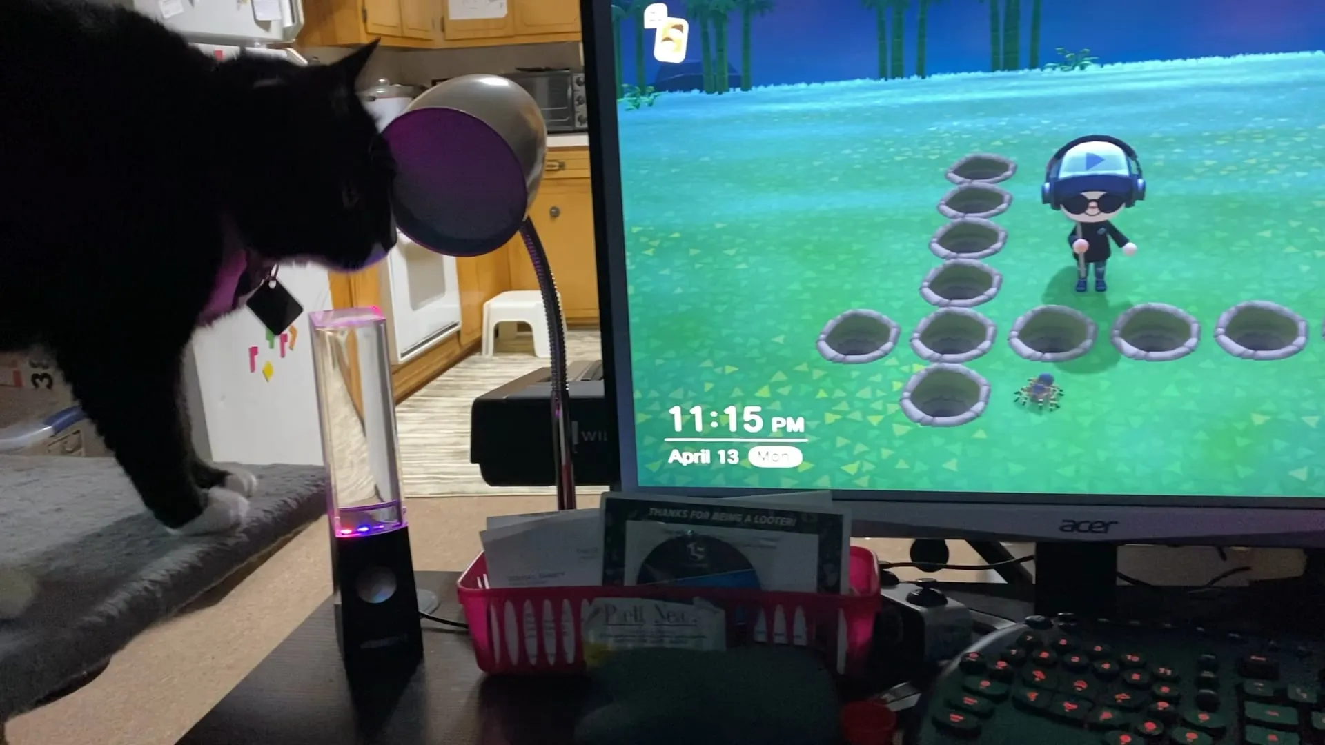 15138 animal crossing tarantula farm 7