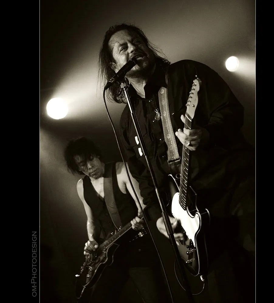 15141 tito and tarantula music section