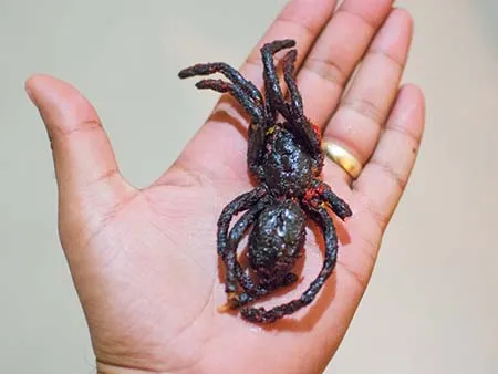 /img/15148-tarantula-cooking-process.webp