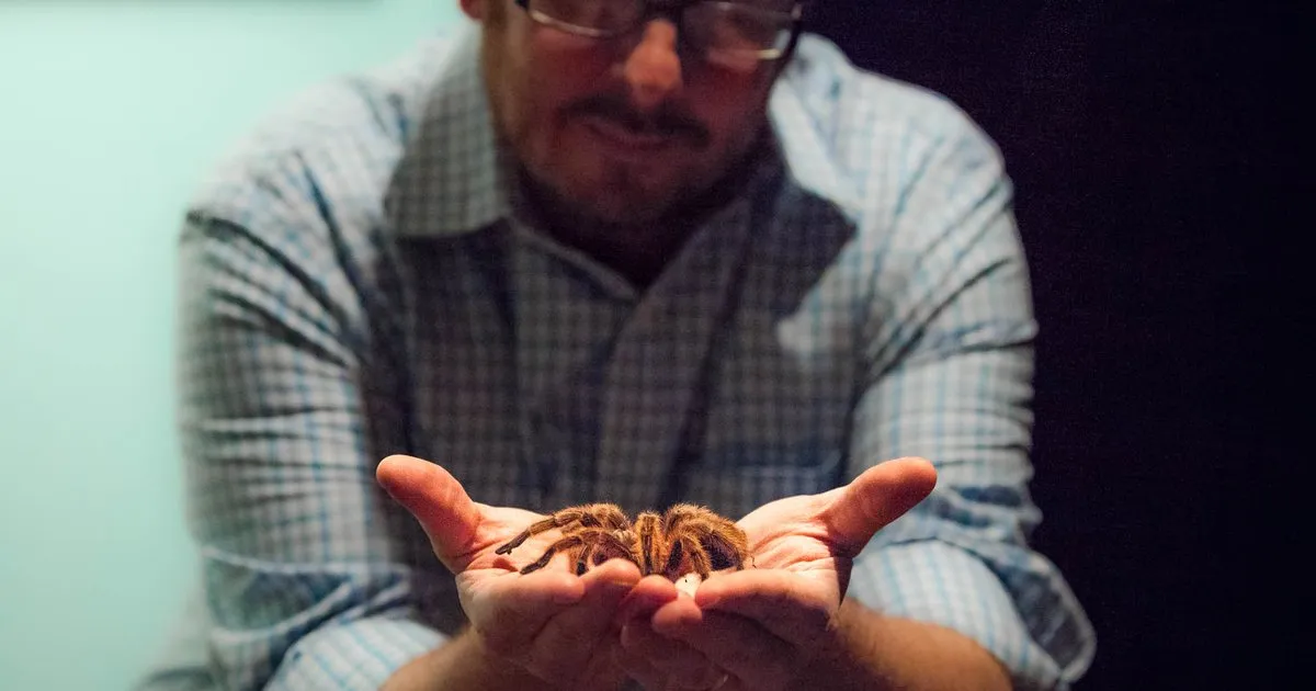 15152 tarantula conservation