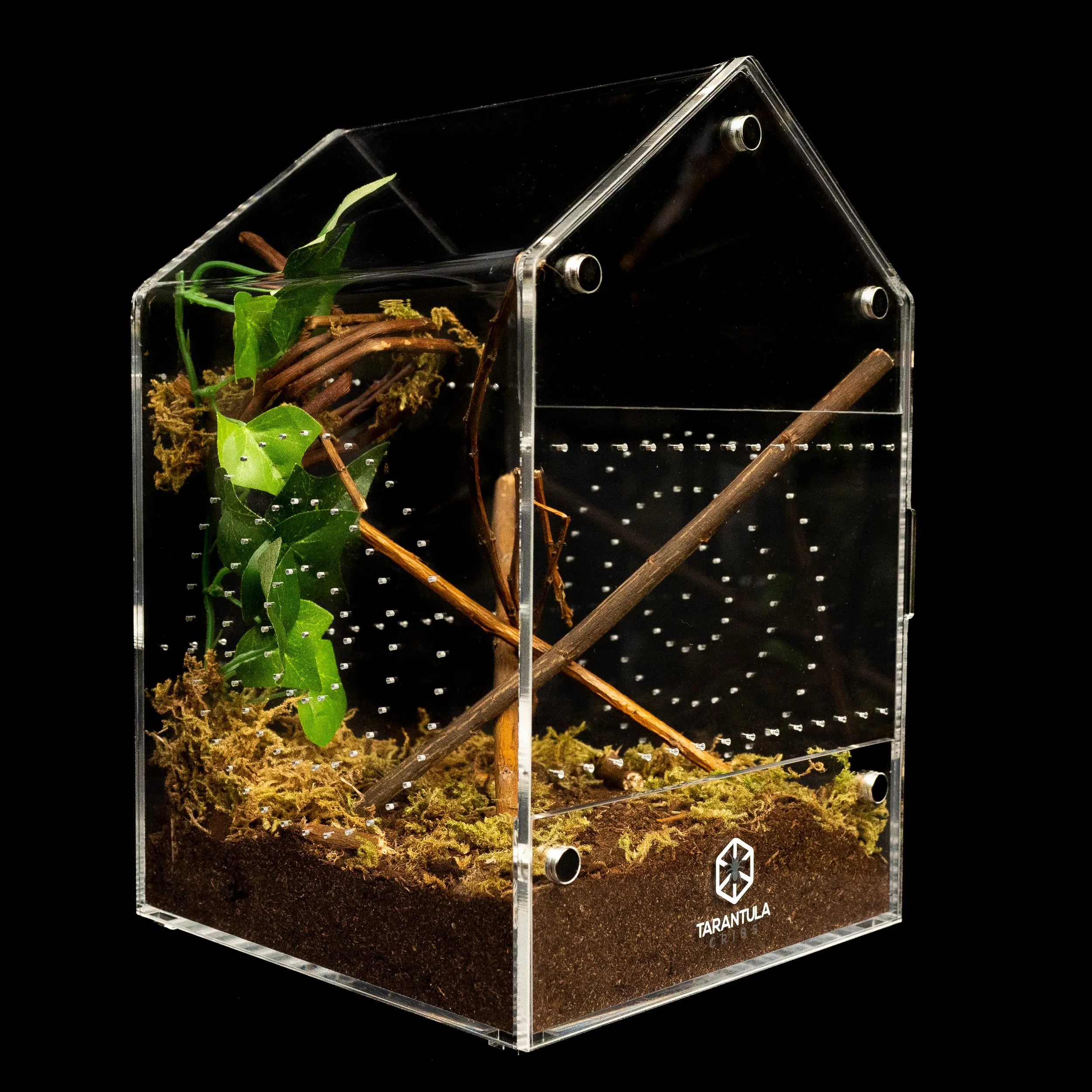 15152 tarantula species diversity