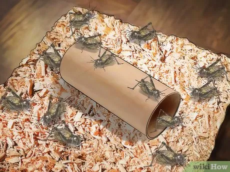 15167 tarantula feed storage