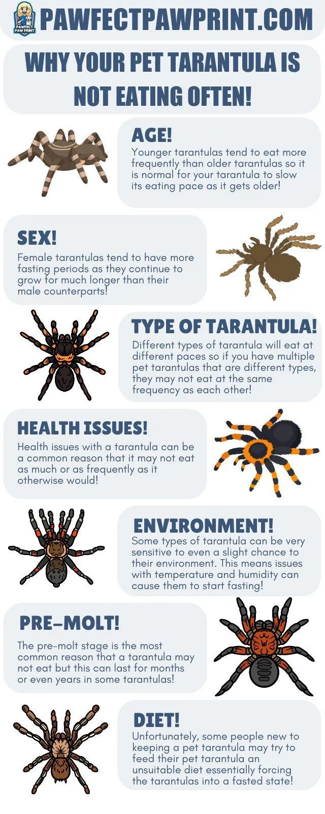 /img/15174-tarantula-dehydration.webp