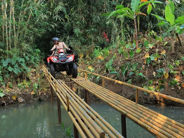 15189 bali tarantula conservation