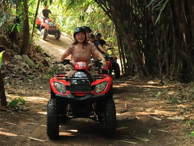 15189 bali tarantula diet