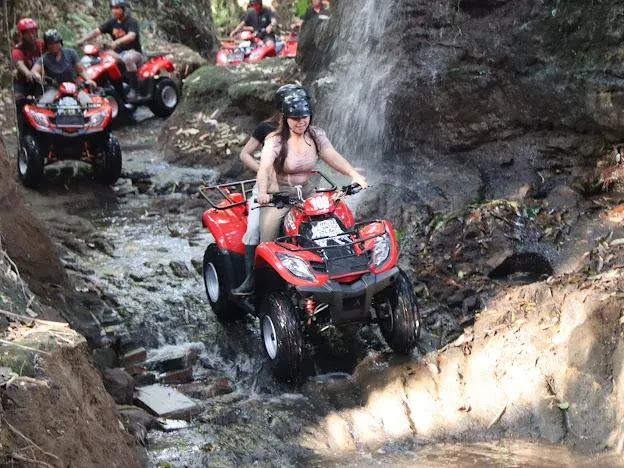 15189 bali tarantula venom