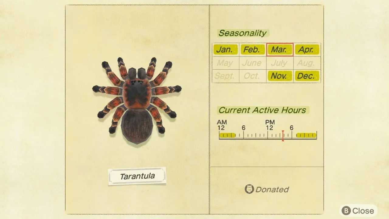 15193 acnh tarantula tools