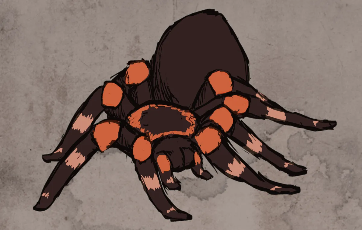 15196 tarantula app settings