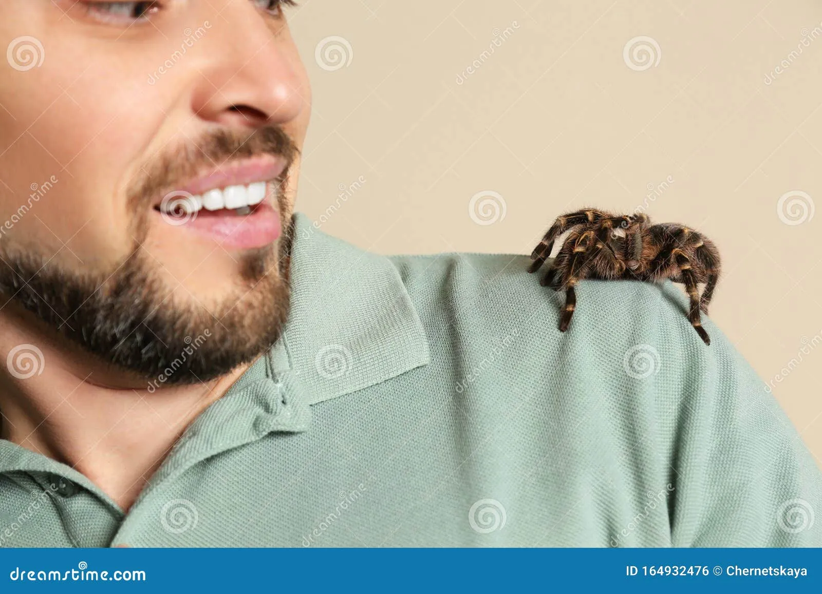 15201 exposure therapy spiders