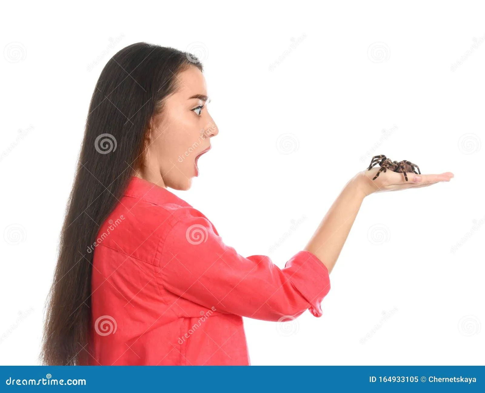 15201 psychological symptoms spider fear