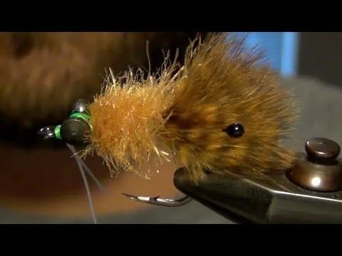 15207 tarantula vs crab image4