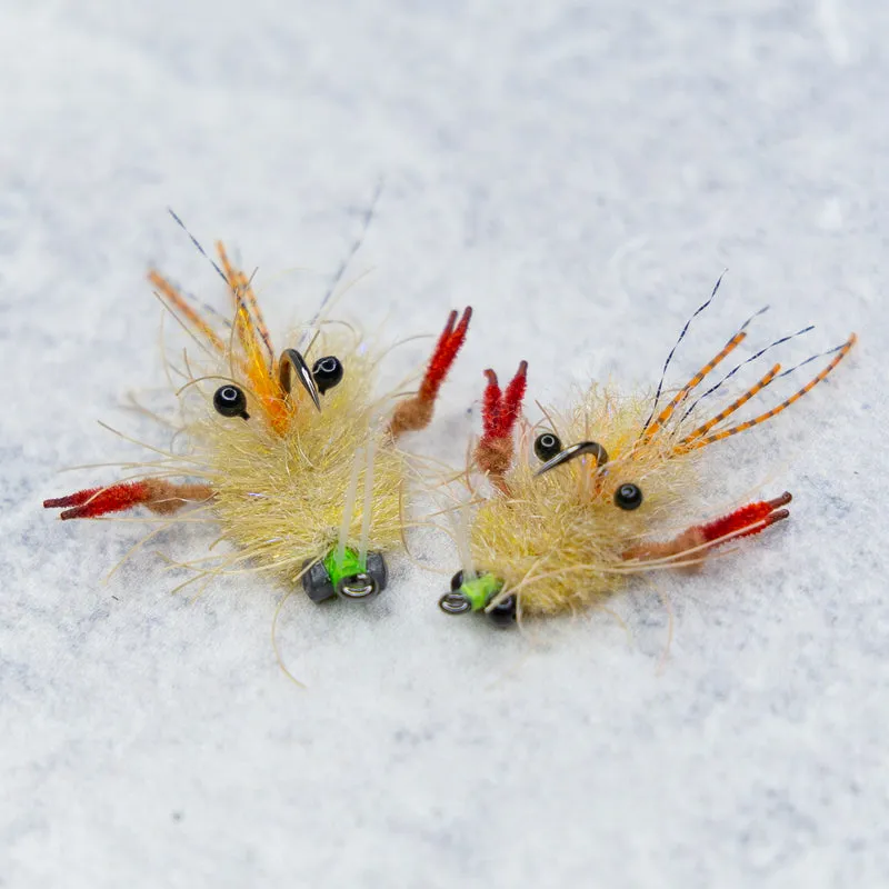 15207 tarantula vs crab image5