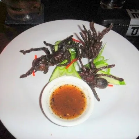 15223 cultural tarantula