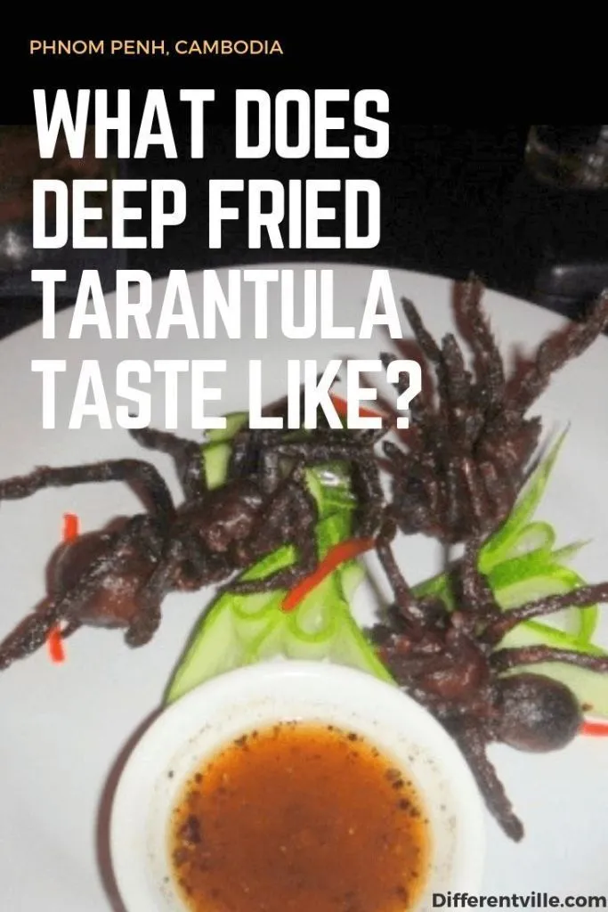 15223 tarantula dish