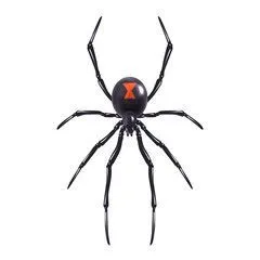 15226 tarantula habitat