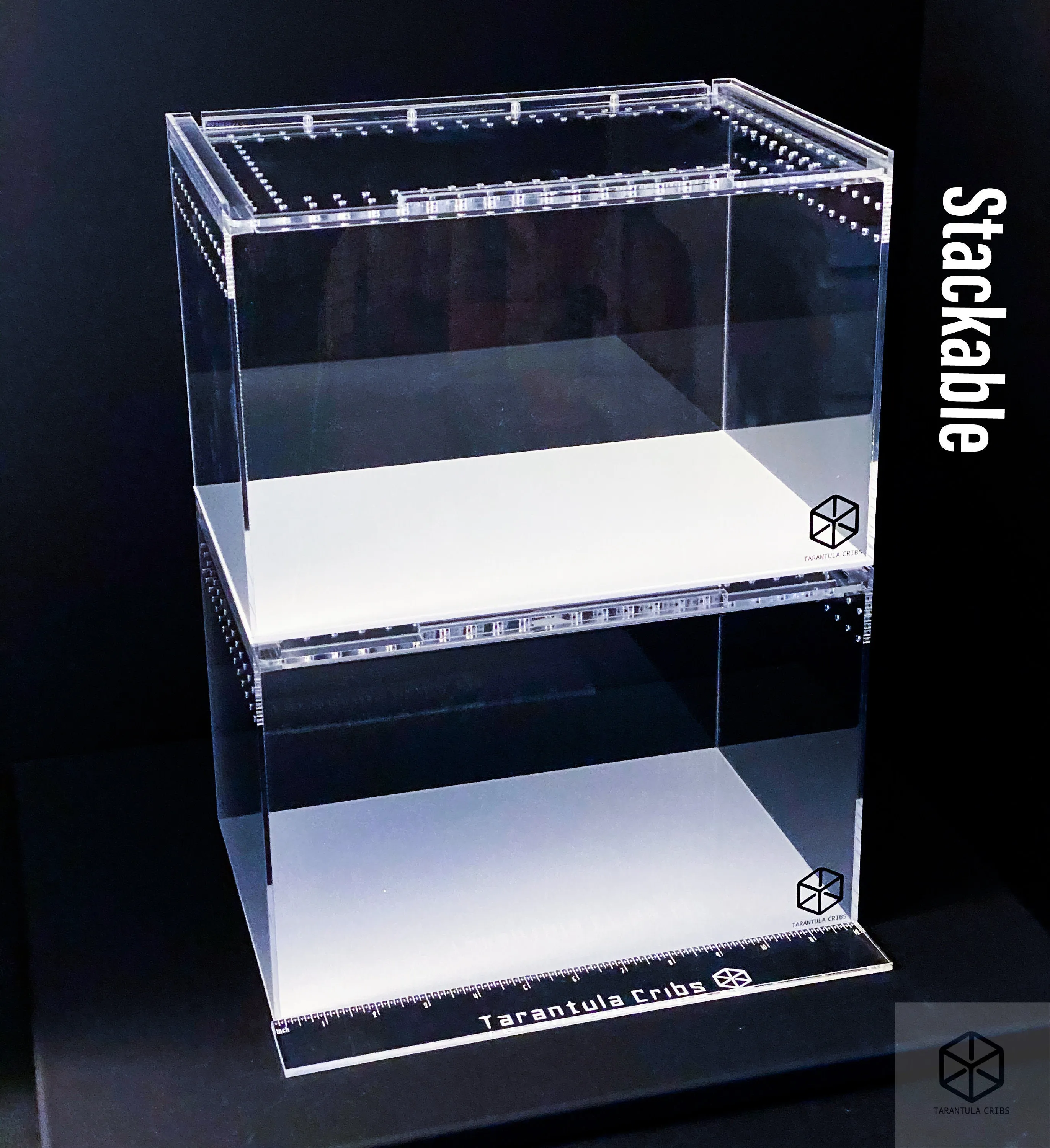 15239 tarantula hide