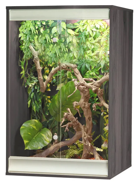 15244 arboreal tarantula vivarium hide