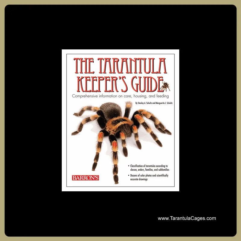 /img/15249-tarantula-cage-cleaning.webp