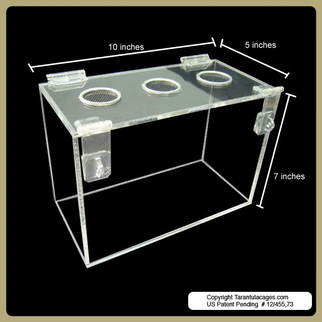 15249 tarantula cage glass
