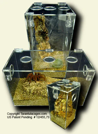 15249 tarantula cage overview