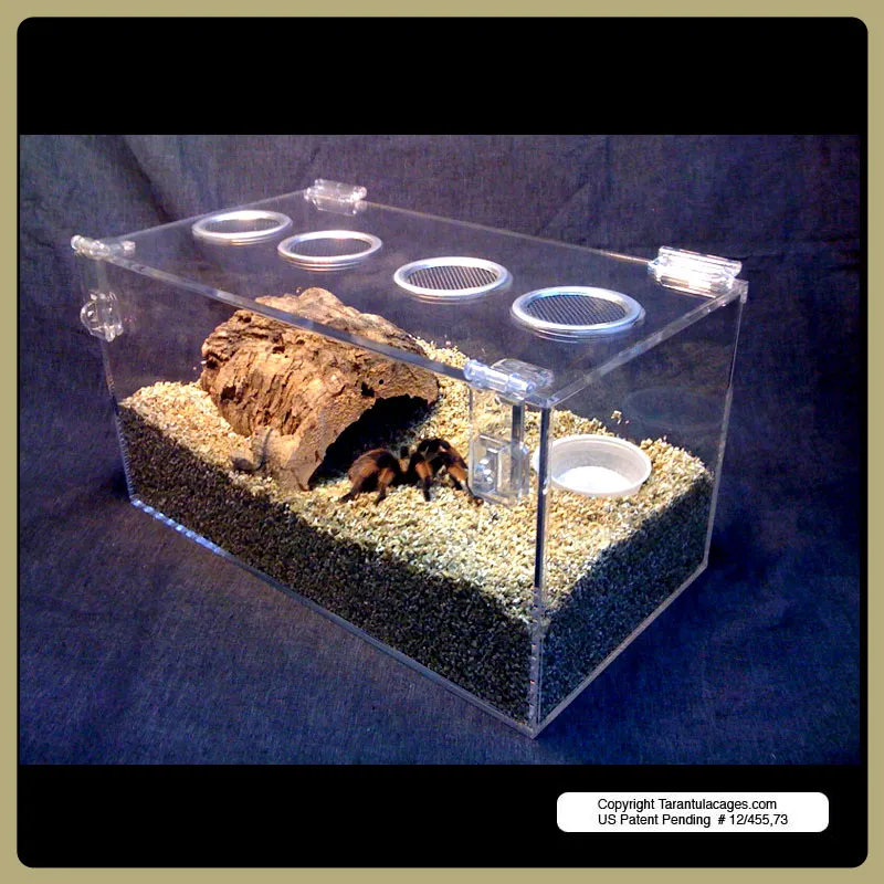 15249 tarantula cage secure lid