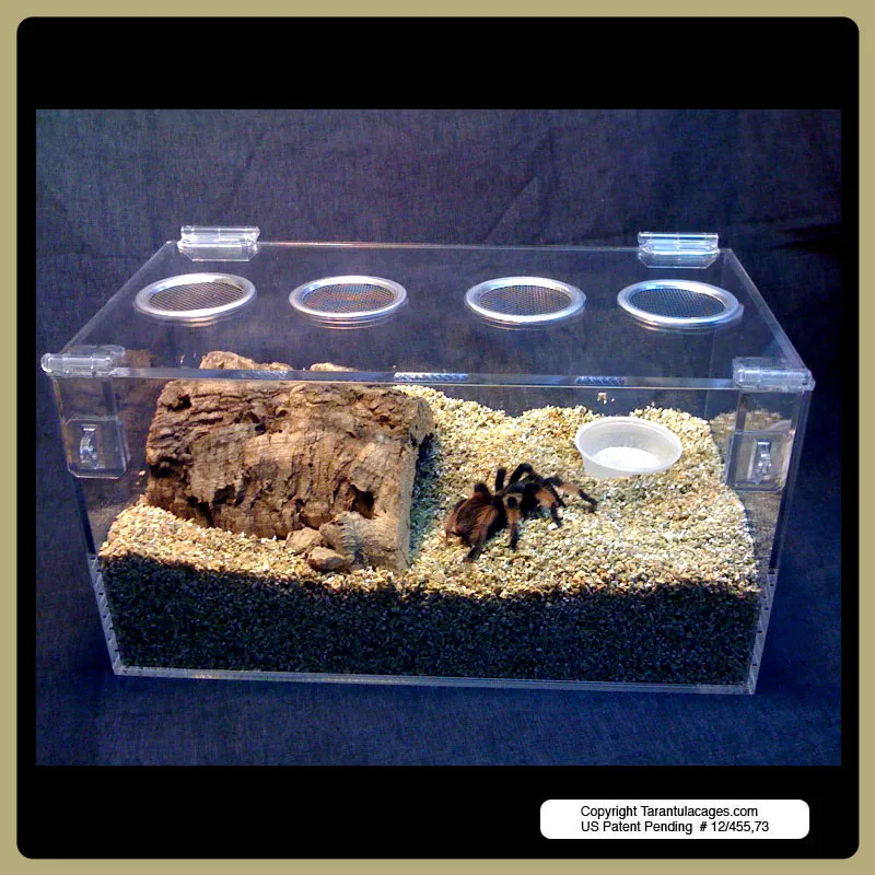 15249 tarantula cage ventilation