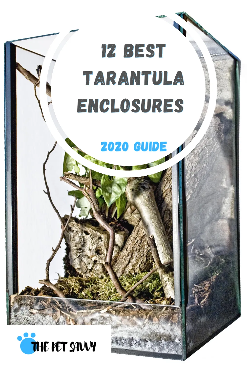 /img/15265-tarantula-enclosure-cleaning.webp