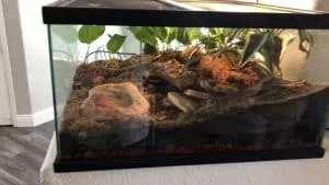15265 tarantula enclosure substrate