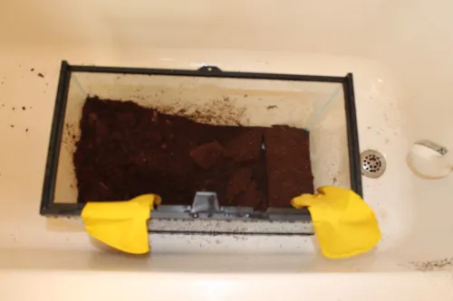 15267 tarantula tank cleaning supplies