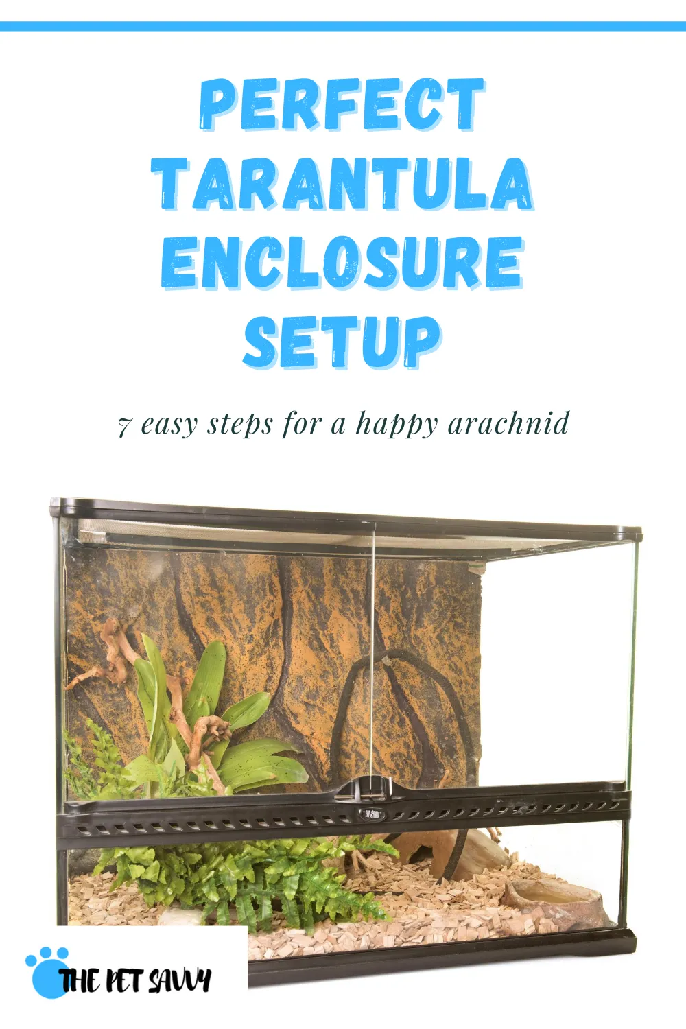 15272 cleaning tarantula enclosure