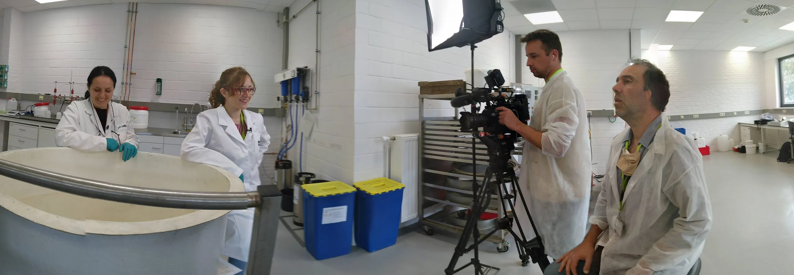 15280 tarantula score calculation