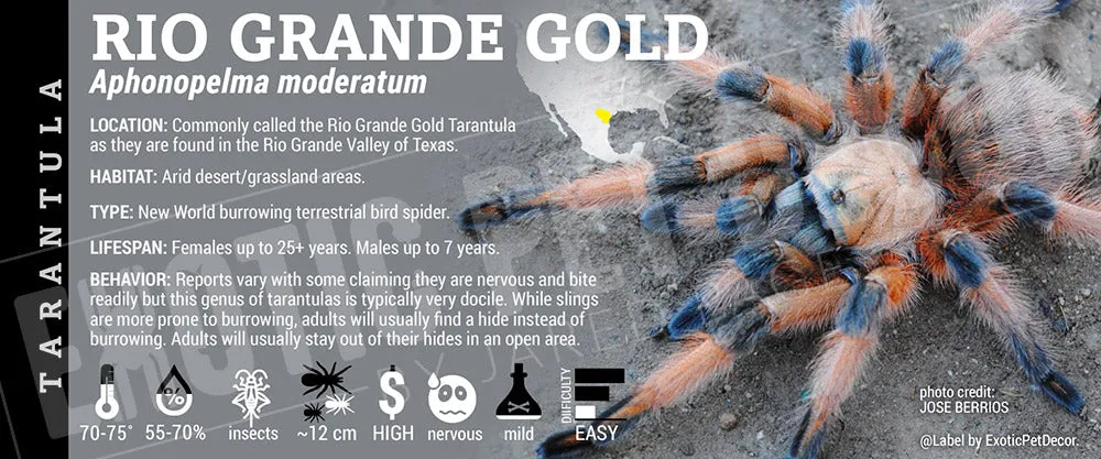 15282 tarantula substrate types