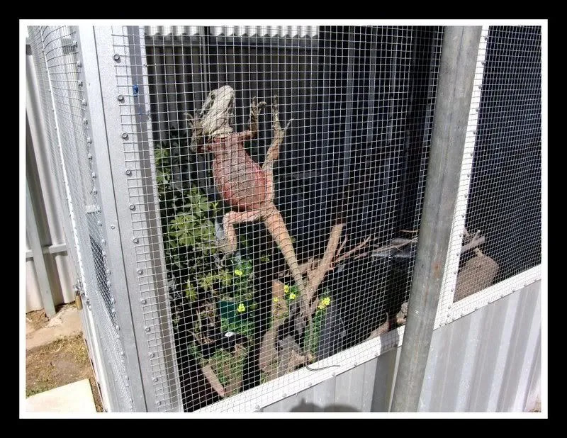 15293 acrylic enclosure