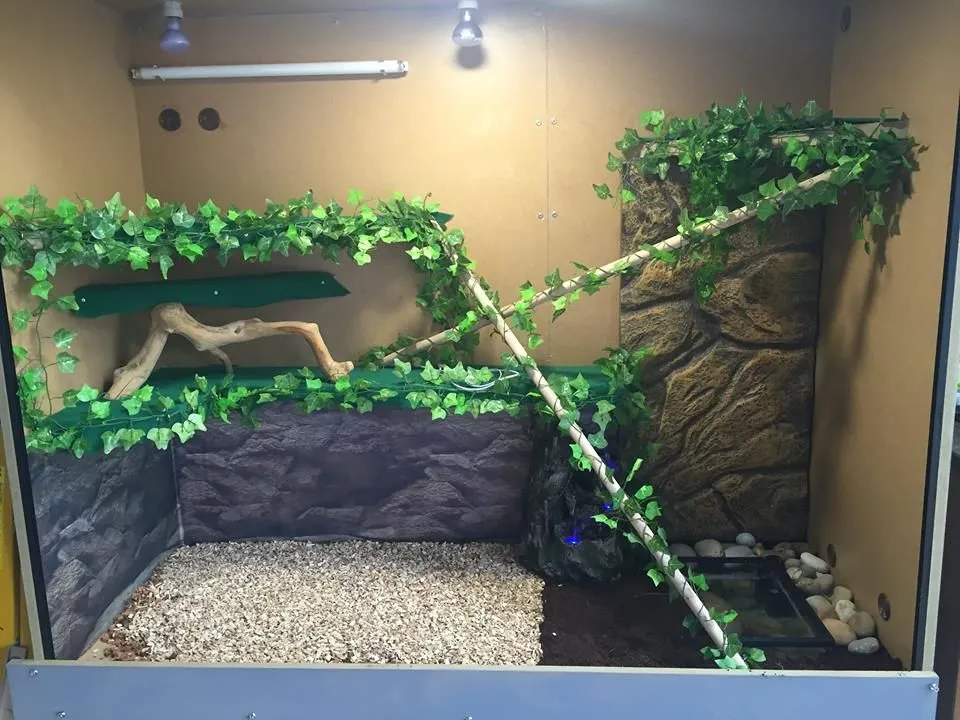 15293 glass terrarium