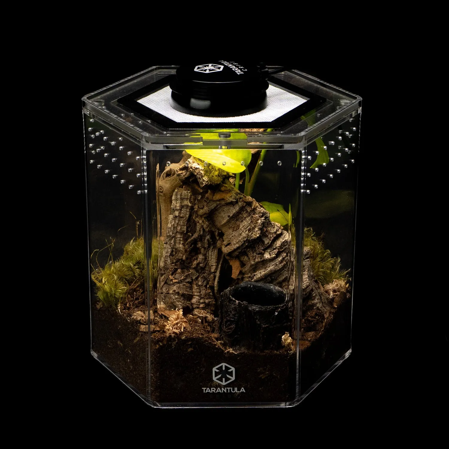 15294 tarantula quality control