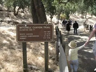 15310 mt diablo ecosystem image6