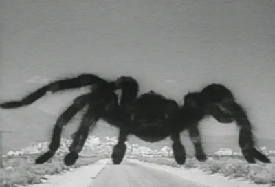 15317 tarantula monster image1