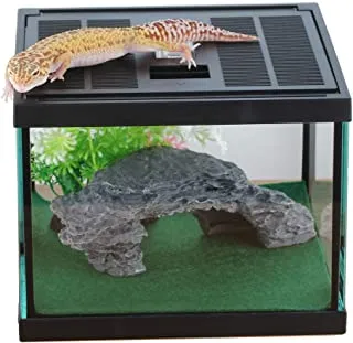 15324 tarantula enclosure ventilation