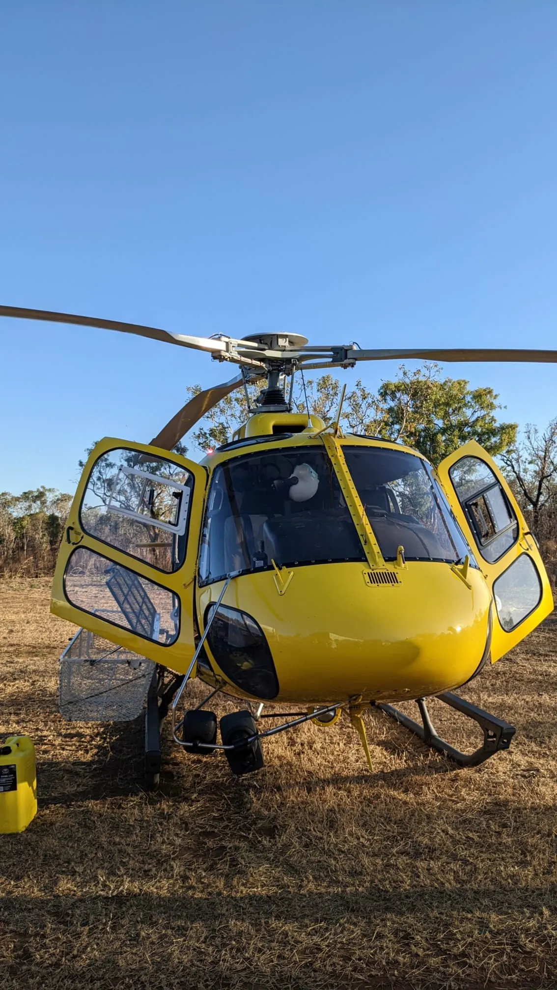 15335 catching tarantula