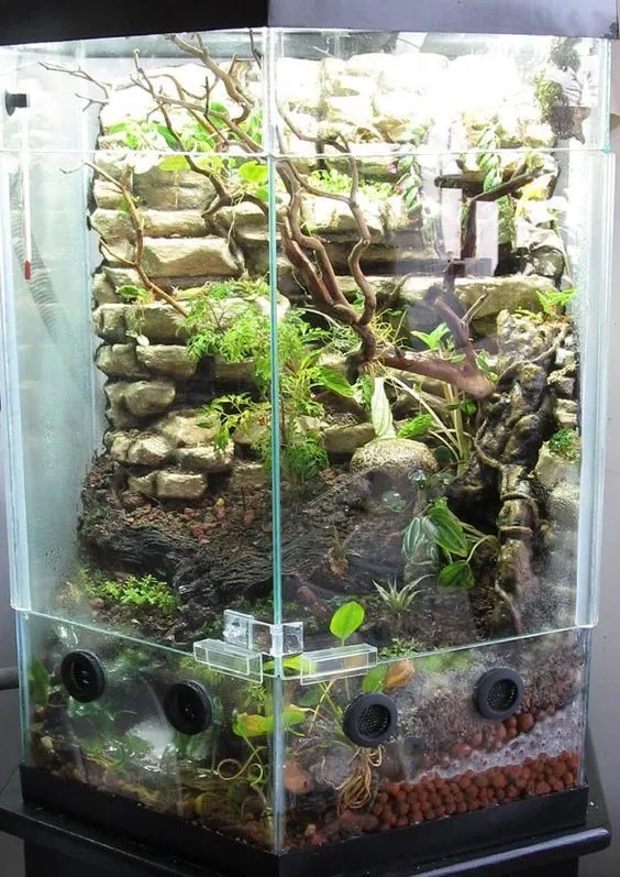15368 tarantula aquarium substrate
