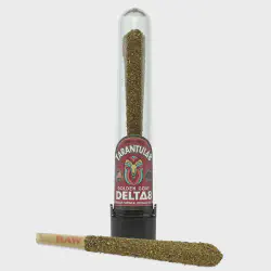 /img/15393-king-tarantula-pre-roll-reviews.webp