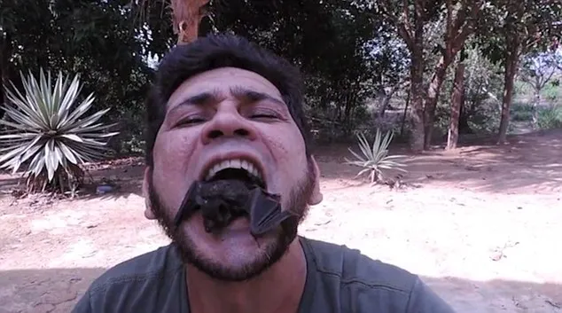 15395 tarantula extraction