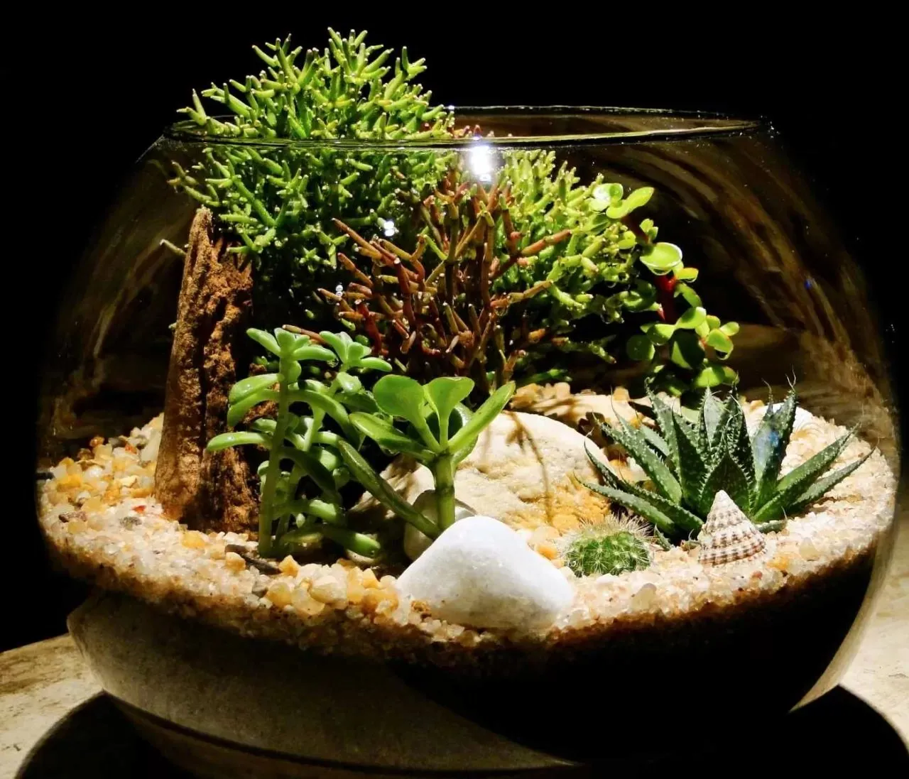 15398 tarantula decorations