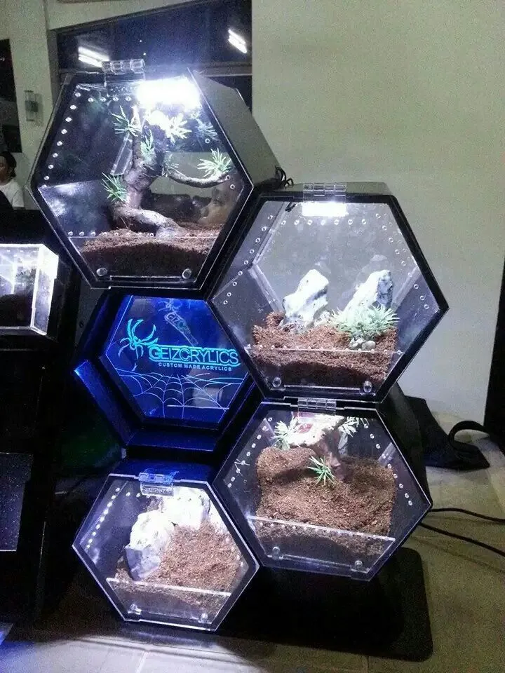 15401 tarantula enclosure setup