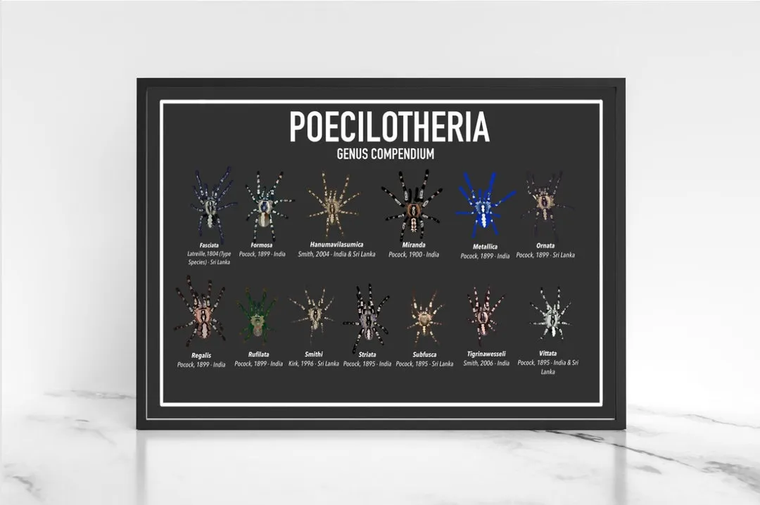 /img/15409-buying-tarantula-posters-online.webp