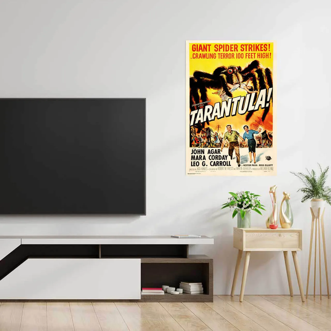 15409 caring for tarantula posters