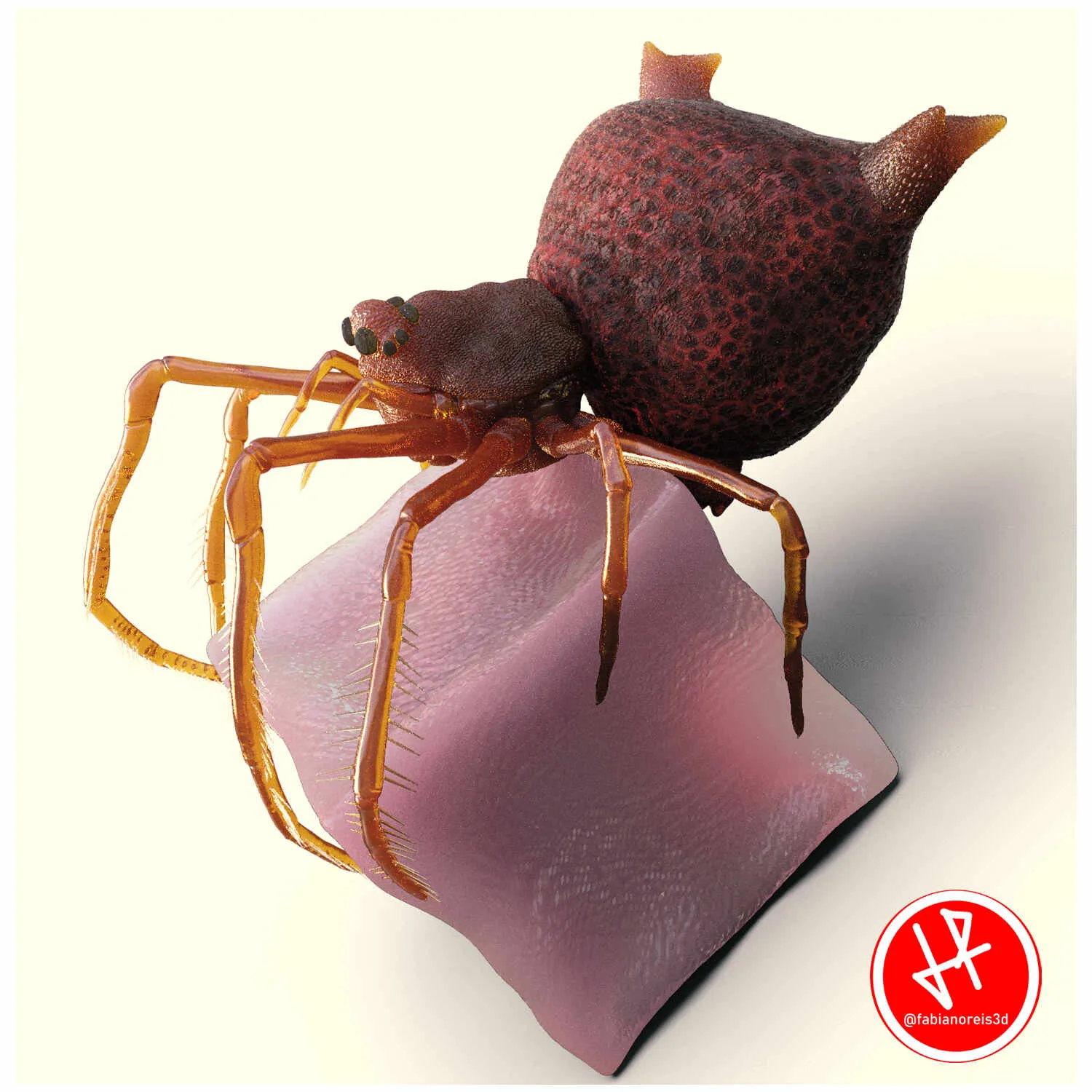 15418 tarantula amazon spider close up