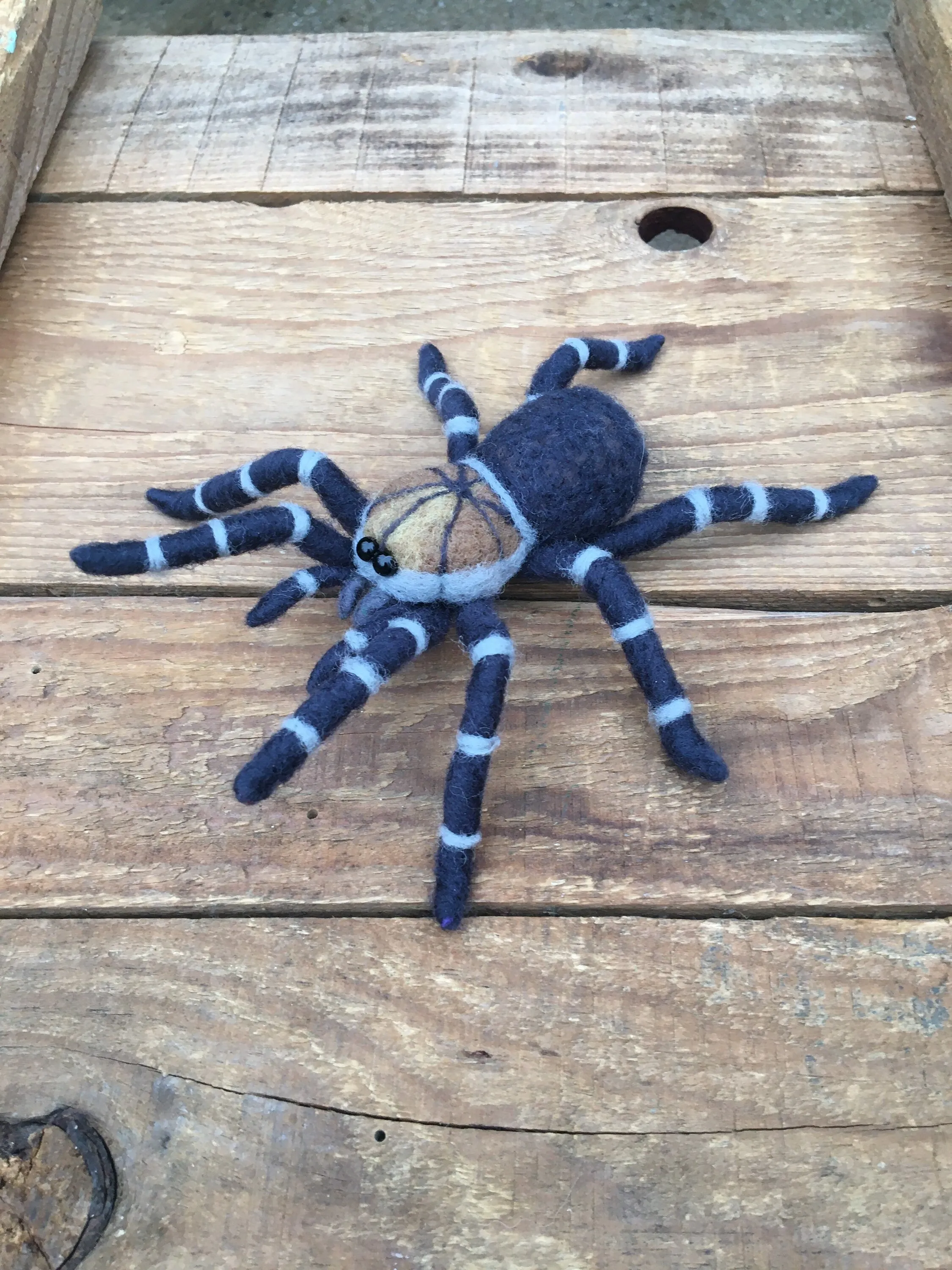 15425 needle eye closeup